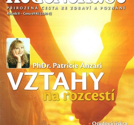 Partnerské vztahy na rozcestí - Patricie Anzari