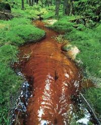 cerveny potok