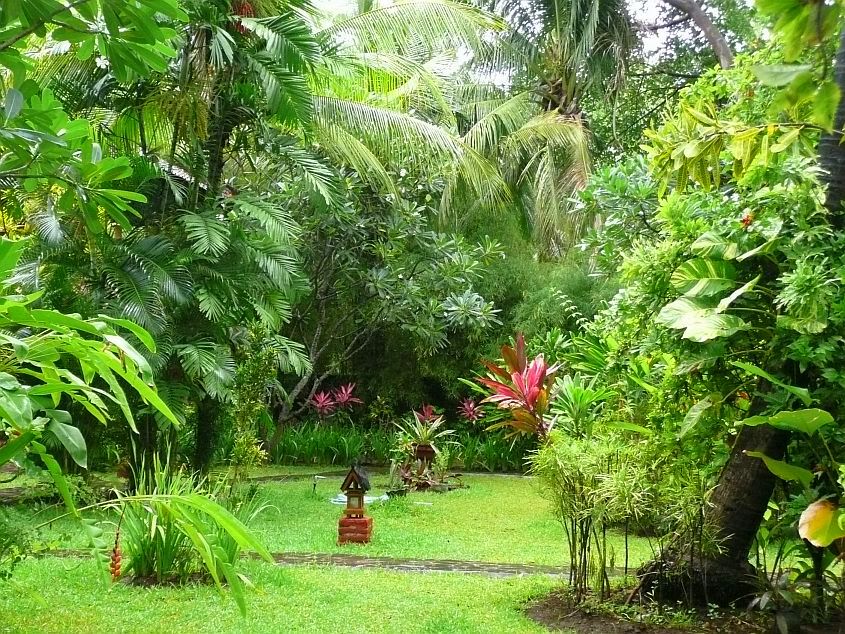 Topická zahrada tropicka zahrada