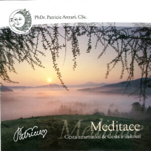 MP3 - Cesta ze smutku / Cesta z úzkosti (2008) - ke stažení
