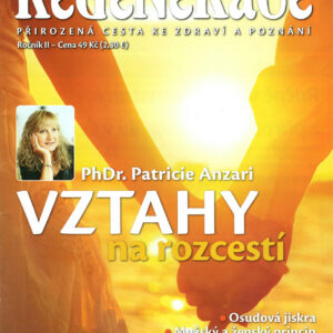 Partnerské vztahy na rozcestí - Patricie Anzari